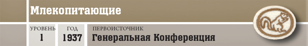 Природа - Млекопитающие - шапка.png