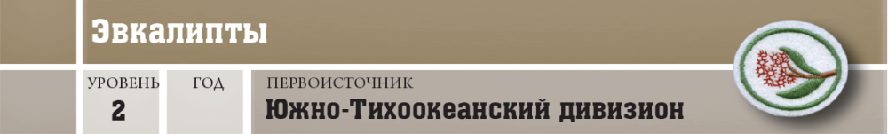 Природа - Эвкалипты - шапка.png