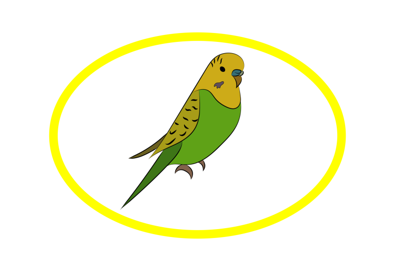 Файл:Природа - Волнистые попугаи.png